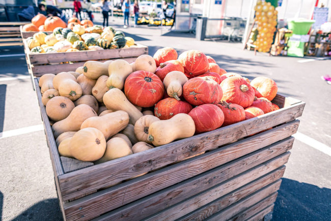 2. Herbstfest am 18. September 2019