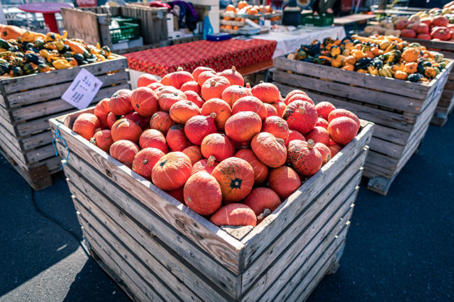 2. Herbstfest am 18. September 2019