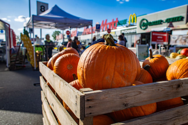 2. Herbstfest am 18. September 2019