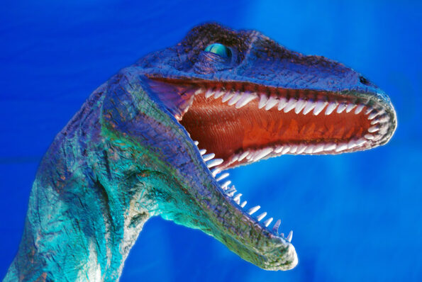 Dinosaurierausstellung