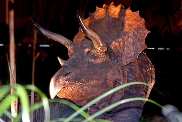Dinosaurierausstellung im Center