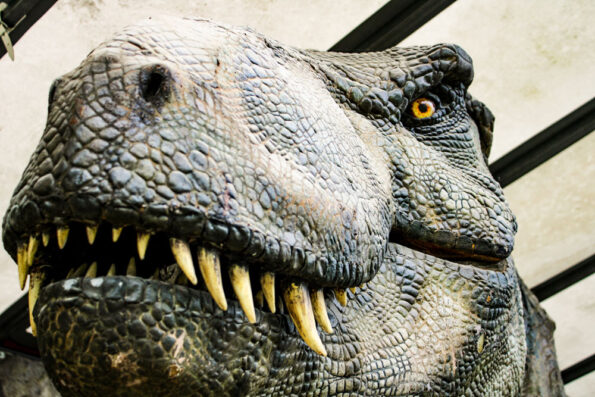 Dinosaurierausstellung im Center
